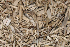 biomass boilers Cotton Of Gardyne